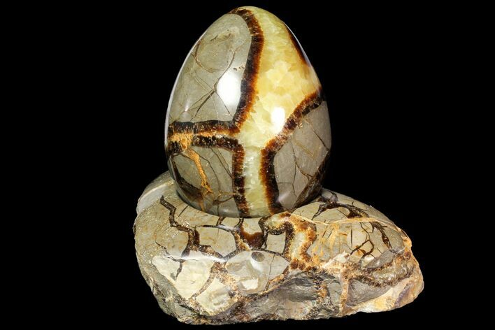 Polished Septarian Egg with Stand - Madagascar #118135